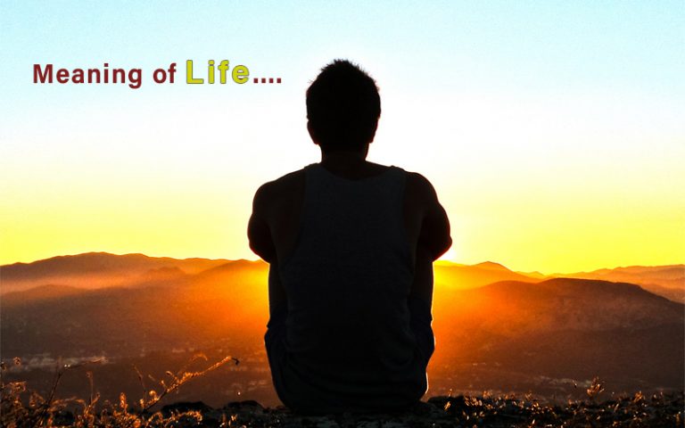 On the meaning of life